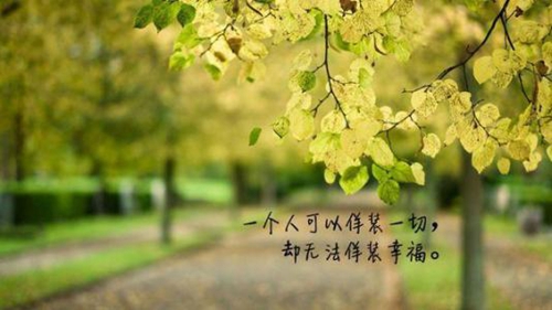 2017鸡年公司起名的建议和方法大全