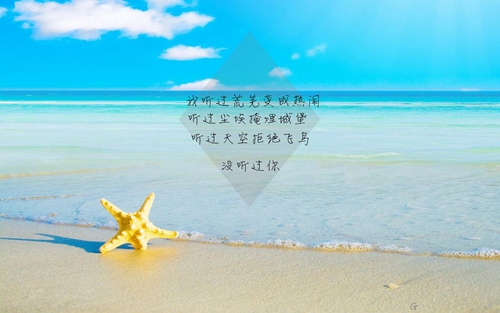 介绍好的贸易公司名字