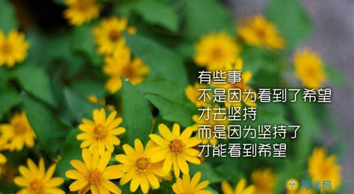 教师节发给老师的节日祝福语