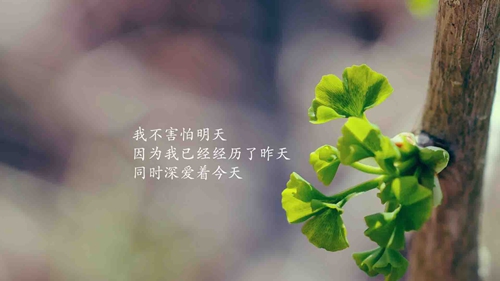 我是山姆经典台词英文