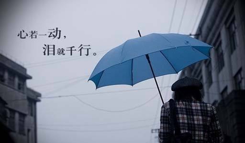 纵火焚雨°